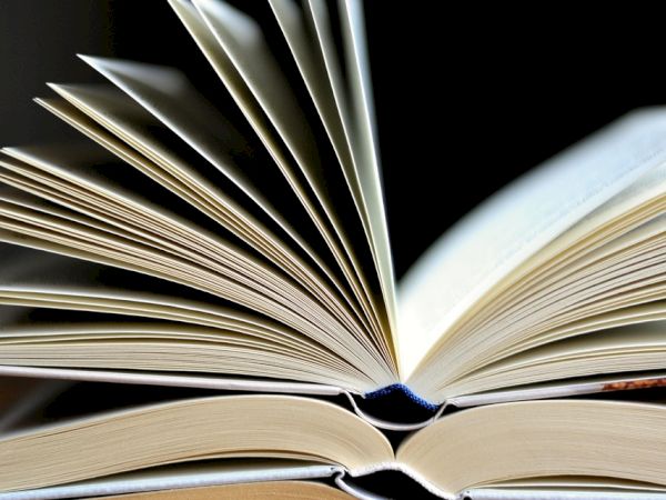 An open stack of hardcover and paperback books fanned like pages leaping in a gentle, literary display.