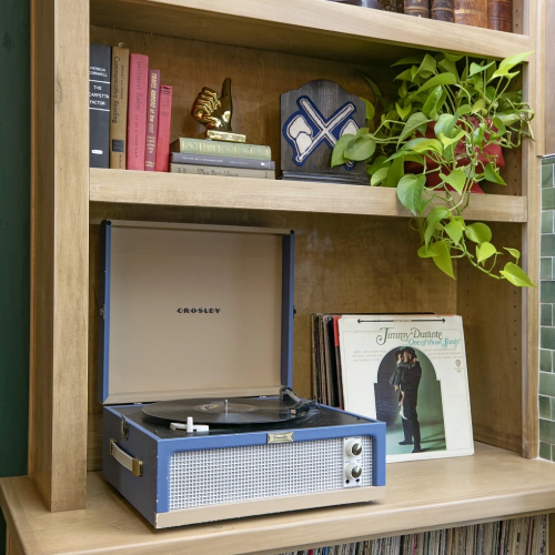 A wooden shelf with vinyl records on the bottom, a retro blue portable turntable, framed records, plants, and a mix of books and decor on the upper shelves, ending with a plant trailing over the edge.